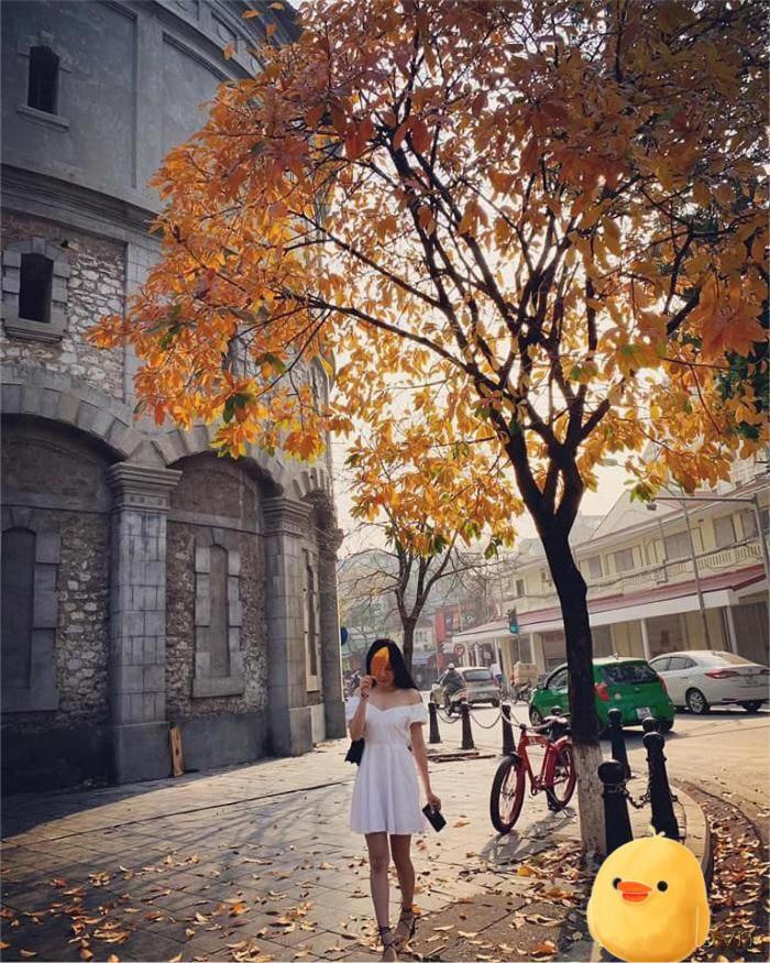 Aura Home Whole French House ハノイ市 エクステリア 写真