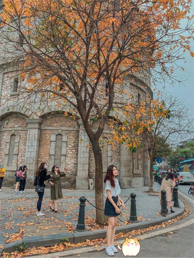 Aura Home Whole French House ハノイ市 エクステリア 写真